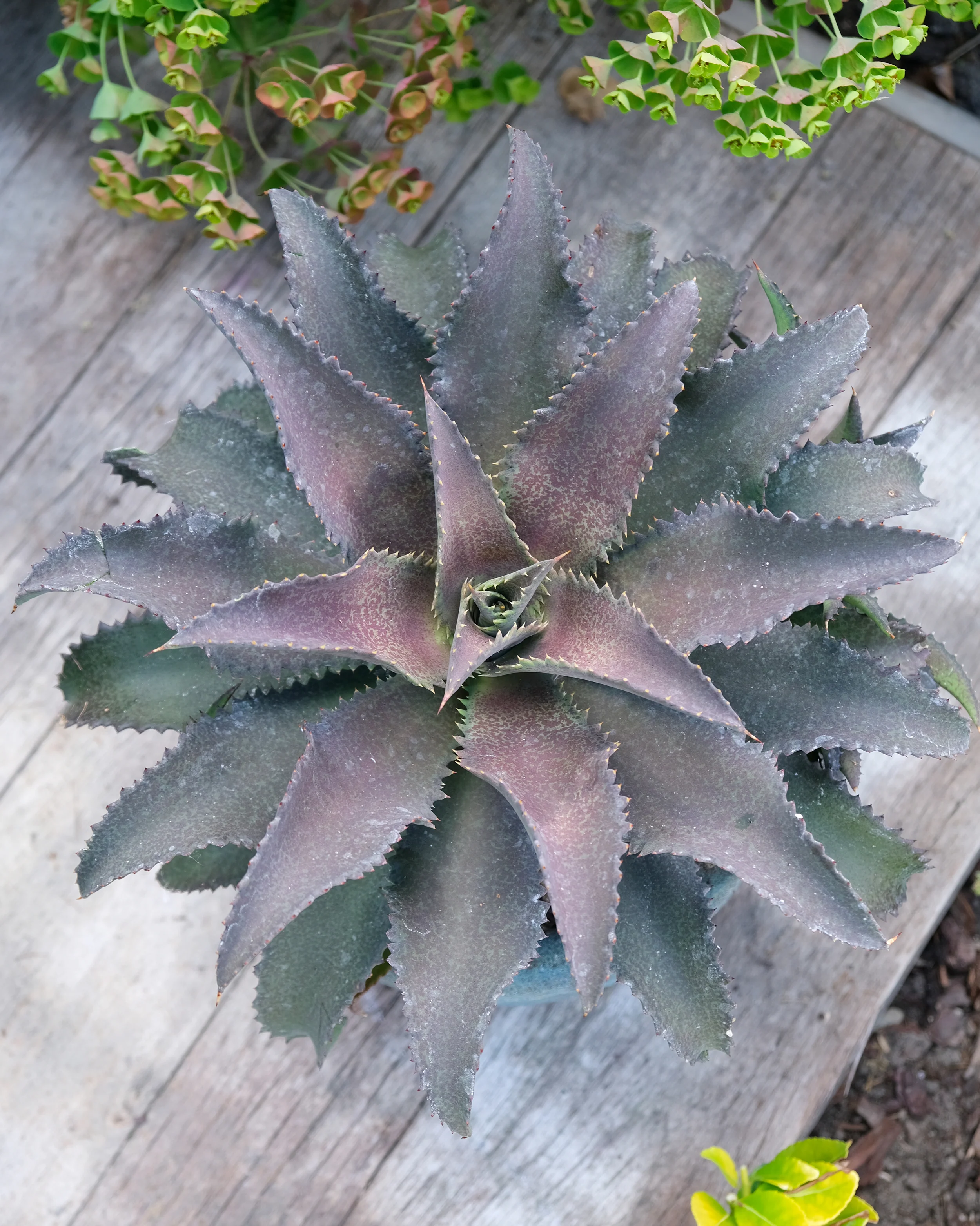 Thumbnail 13