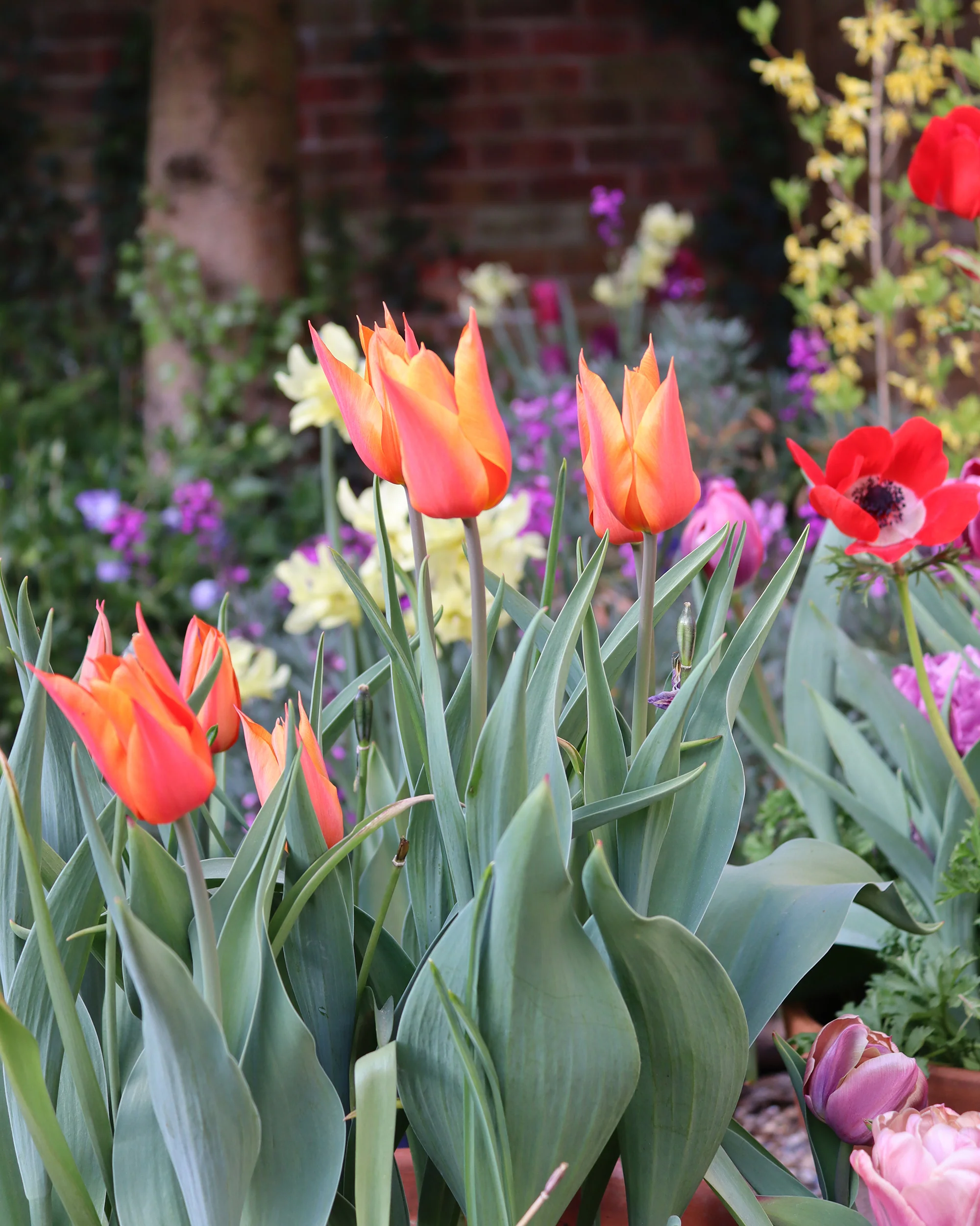 Thumbnail 10